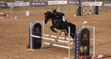 The Homeland Chandigarh Horseshow